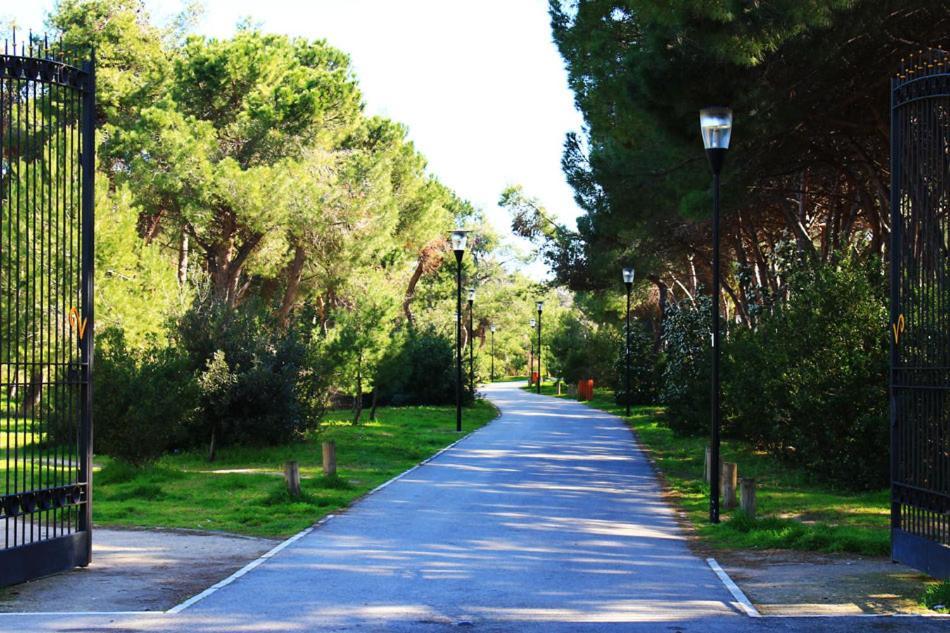 Carducci 83 Bed & Breakfast